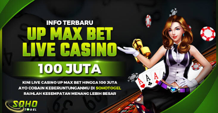 Sohotogel : Situs Live Casino Terbaik 2024 Taruhan Terlengkap