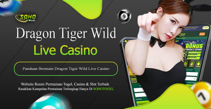 Sohotogel Panduan Bermain Dragon Tiger Wild Live Casino